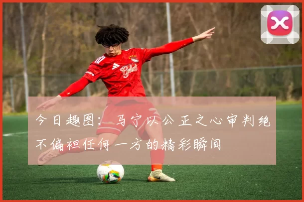 今日趣图：马宁以公正之心审判绝不偏袒任何一方的精彩瞬间